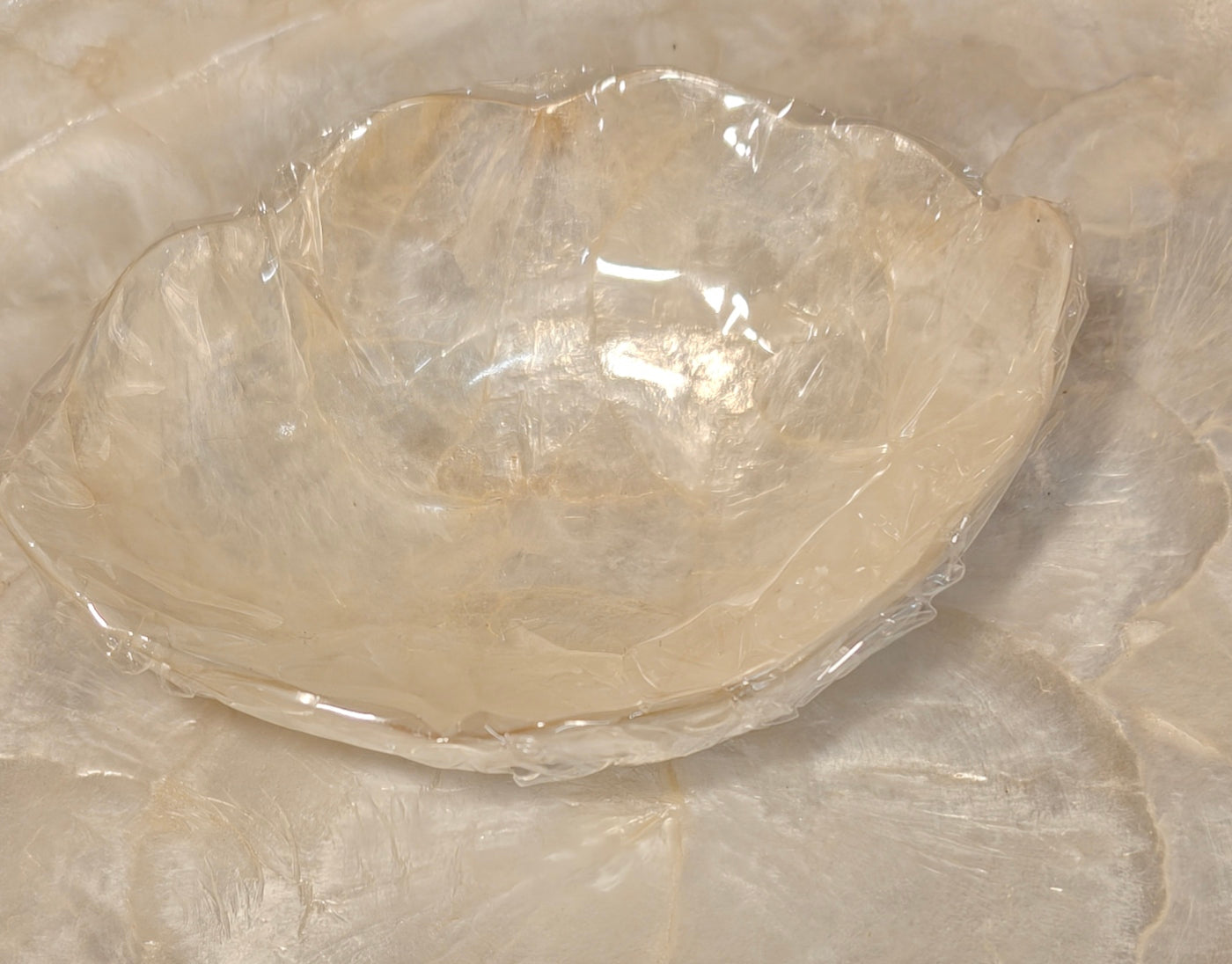 425083 schelpen saus schaaltje